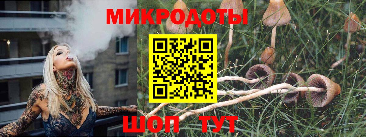 Псилоцибиновые грибы MAGIC MUSHROOMS  Вход с VPN  Березники 