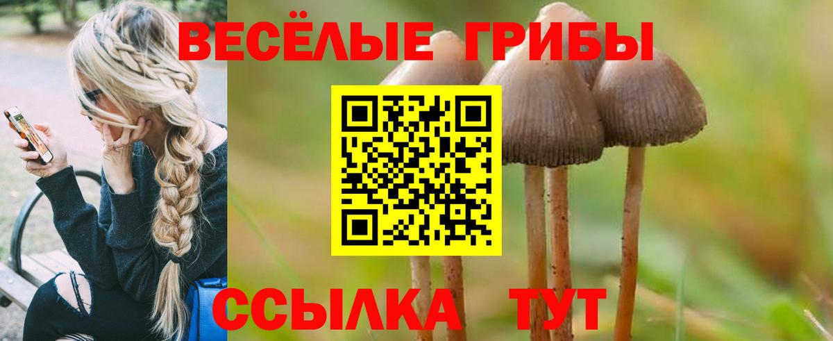 Галлюциногенные грибы ЛСД Березники